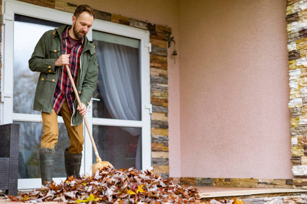 Basement Cleanout Services in Ship Bottom, NJ